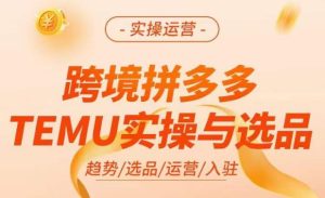 跨境拼多多TEMU实操与选品,掌握平台运营方法技巧,选品避坑12条标准,爆款的底层思路等-虚拟资源库