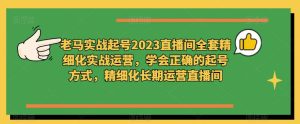 老马实战起号2023直播间全套精细化实战运营,学会正确的起号方式,精细化长期运营直播间-虚拟资源库