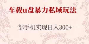 车载u盘暴力私域玩法,长期项目,仅需一部手机实现日入300+-虚拟资源库