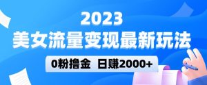 2023美女流量变现最新玩法，0粉撸金，日赚2000+，实测日引流300+-虚拟资源库