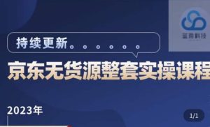 蓝七·2023京东店群整套实操视频教程,京东无货源整套操作流程大总结,减少信息差,有效做店发展-虚拟资源库