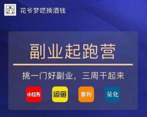 花爷-副业起跑营第2期,挑一门好副业,三周干起来(闲鱼|小红书|量化|套利)-虚拟资源库