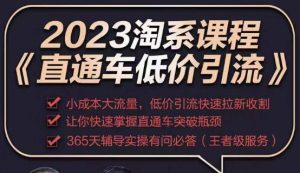 2023直通车低价引流玩法课程，小成本大流量，低价引流快速拉新收割，让你快速掌握直通车突破瓶颈-虚拟资源库