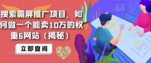 搜索霸屏推广项目，如何做一个能卖10万的权重6网站（揭秘）-虚拟资源库