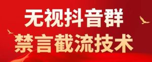 外面卖1500抖音粉丝群无视禁言截流技术，抖音黑科技，直接引流，0封号-虚拟资源库