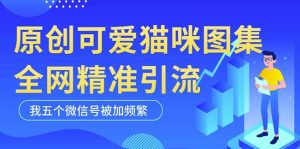 黑科技纯原创可爱猫咪图片，全网精准引流，实操5个VX号被加频繁-虚拟资源库