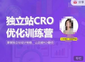 独立站CRO优化训练营，掌握独立站设计秘籍，打造高转化的独立站，让店铺ROI翻倍-虚拟资源库