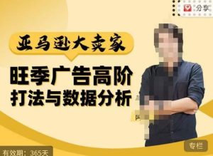 阿甘·亚马逊大卖家广告高阶打法与数据分析,走出传统广告误区;揭秘大卖惯用打法;数据驱动广告决策-虚拟资源库