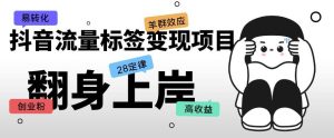 抖音流量标签变现项目，抖音创业粉轻松转化，单价高收益简单-虚拟资源库