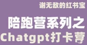 谢无敌ChatGPT打卡营,教你更好地使用ChatGPT来提高工作效率-虚拟资源库