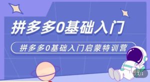 六一电商·拼多多运营0-1实操特训营，拼多多从基础到进阶的可实操玩法-虚拟资源库