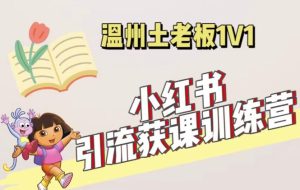 小红书1对1引流获客训练营:账号、内容、引流、成交(价值3999元)-虚拟资源库