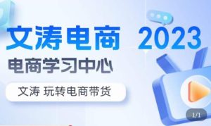 文涛电商·7天零基础自然流起号,快速掌握店铺运营的核心玩法,突破自然展现量,玩转直播带货-虚拟资源库