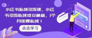 小红书私域引流课,小红书引流私域成交秘籍,1个月加爆私域!-虚拟资源库