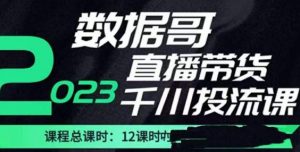 数据哥2023直播电商巨量千川付费投流实操课，快速掌握直播带货运营投放策略-虚拟资源库
