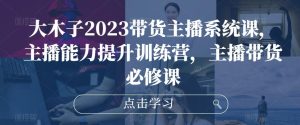 大木子2023带货主播系统课,主播能力提升训练营,主播带货必修课-虚拟资源库