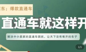 冠东·淘系直通车保姆级教程，全面讲解直通车就那么简单-虚拟资源库