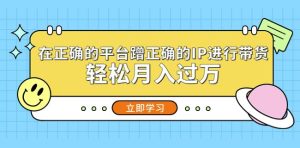 在正确的平台蹭正确的IP进行带货,轻松月入过万-虚拟资源库