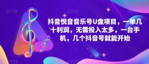 抖音音乐号U盘项目，一单几十利润，无需投入太多，一台手机，几个抖音号就能开始-虚拟资源库