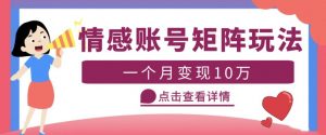 云天情感账号矩阵项目,简单操作,月入10万+可放大(教程+素材)-虚拟资源库