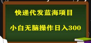 2023最新蓝海快递代发项目,小白零成本照抄也能日入300+-虚拟资源库