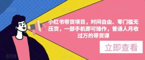 小红书带货项目,时间自由、零门槛无压货,一部手机即可操作,普通人月收过万的带货课-虚拟资源库