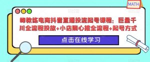 峰教练电商抖音直播投流起号课程:巨量千川全流程投放+小店随心推全流程+起号方式-虚拟资源库