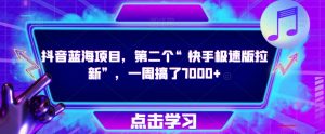 抖音蓝海项目，第二个“快手极速版拉新”，一周搞了7000+【揭秘】-虚拟资源库