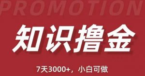 抖音知识撸金项目：简单粗暴日入1000+执行力强当天见收益(教程+资料)-虚拟资源库