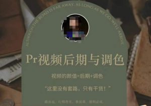 Pr视频后期与调色,视频颜值=后期+调色,这里没有套路,只有干货!-虚拟资源库