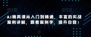 AI精英课从入门到精通，丰富的实战案例讲解，跟着案例学，提升自我！-虚拟资源库