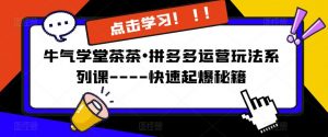 牛气学堂茶茶•拼多多运营玩法系列课—-快速起爆秘籍【更新】-虚拟资源库