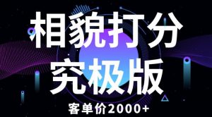 相貌打分究极版，客单价2000+纯新手小白就可操作的项目-虚拟资源库