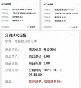 快递代发CPS,月入万元,不起眼却很赚钱的信息差项目【揭秘】-虚拟资源库