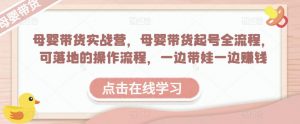 母婴带货实战营,母婴带货起号全流程,可落地的操作流程,一边带娃一边赚钱(附素材)-虚拟资源库