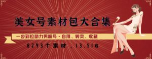 美女号素材包大合集，8000多个素材，一步到位助力男粉号！-虚拟资源库