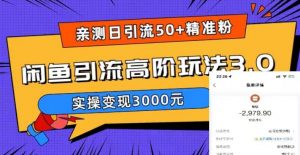 亲测日引50+精准粉，闲鱼引流高阶玩法3.0，实操变现3000元【揭秘】-虚拟资源库