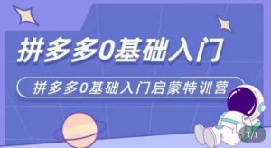 拼多多运营0-1实操特训营,拼多多0基础入门,从基础到进阶的可实操玩法-虚拟资源库