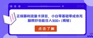 正规暴利流量卡项目,小白零基础零成本无脑照抄也能日入300+【揭秘】-虚拟资源库