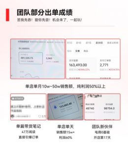 2023小红书电商火爆全网,新晋红利,风口项目,单店收益在3000-30000!-虚拟资源库