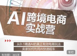 白龙老师·AI跨境电商实战营:从0-1精通Al的真正有效电商玩法,卖家如何利用Al快速超车-虚拟资源库