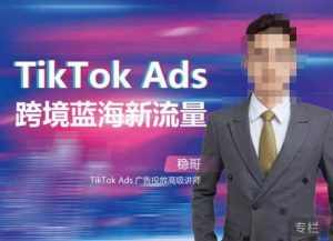 稳哥·如何投出高ROI的TikTok广告,开拓独立站卖家流量新蓝海-虚拟资源库