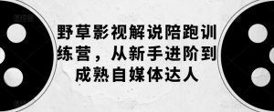 野草影视解说陪跑训练营,从新手进阶到成熟自媒体达人-虚拟资源库