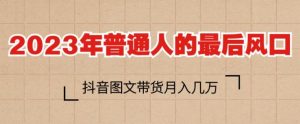 2023年普通人的最后风口,抖音图文带货月入几万,只需一部手机即可操作-虚拟资源库