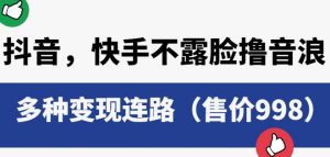 抖音快手不露脸撸音浪项目，多种变现连路（售价998）-虚拟资源库