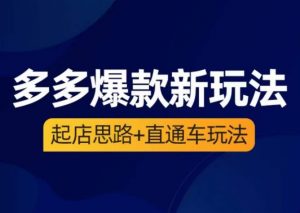 海神·多多爆款新玩法，​起店思路+直通车玩法（3节精华课）-虚拟资源库