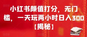 小红书颜值打分，无门槛，一天玩两小时日入300+【揭秘】-虚拟资源库