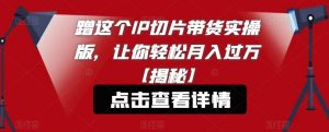 蹭这个IP切片带货实操版，让你轻松月入过万【揭秘】-虚拟资源库