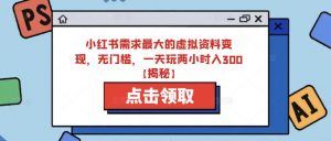 小红书需求最大的虚拟资料变现,无门槛,一天玩两小时入300+【揭秘】-虚拟资源库