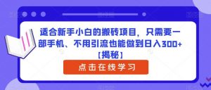 适合新手小白的搬砖项目，只需要一部手机、不用引流也能做到日入300+【揭秘】-虚拟资源库